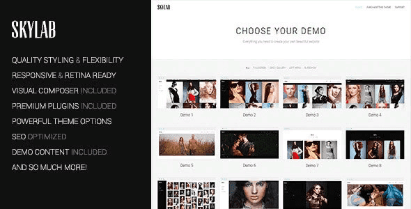 [Skylab] Skylab v2.1.1 - портфолио / фото WordPress шаблон