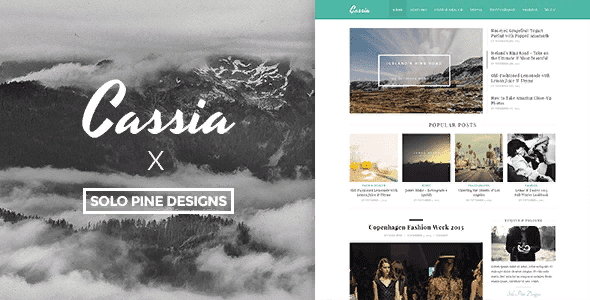 [Themeforest] Cassia v1.1 — отзывчивый блог / портфолио WordPress шаблон