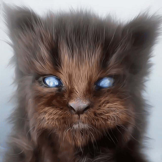 [Max Twain] Bad Cat (2019)