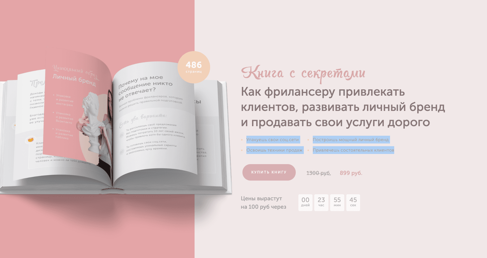 [Элианора Муллагалиева] Как фрилансеру привлекать клиентов (2020)