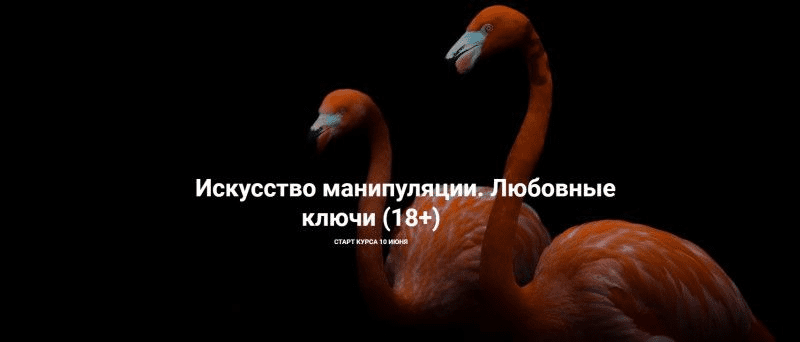 [Рада Русских, Ольга Чебыкина] Искусство манипуляции. Любовные ключи (18+) (2020)