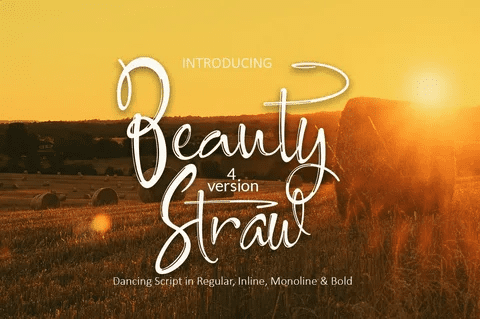 [Creativefabrica] Beauty Straw Font