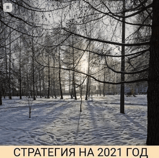 [Private Investor] [Александр Петров] Стратегия на 2021 год