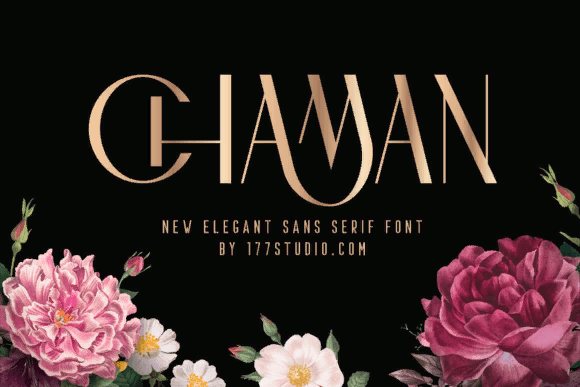 [Creativefabrica] Chaman Elegant Font