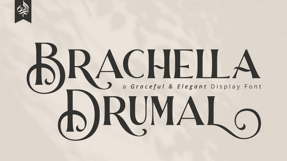 [Fontbundles] Brachella Drumal Font (2021)