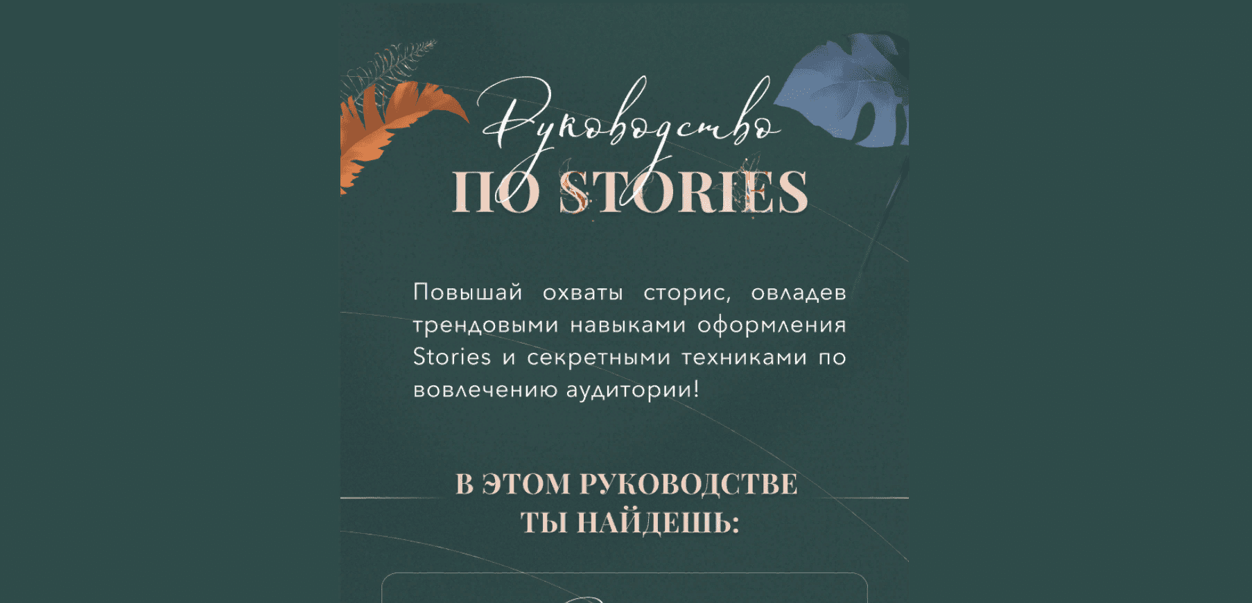 [Катерина Алешина] Руководство по stories (2021)