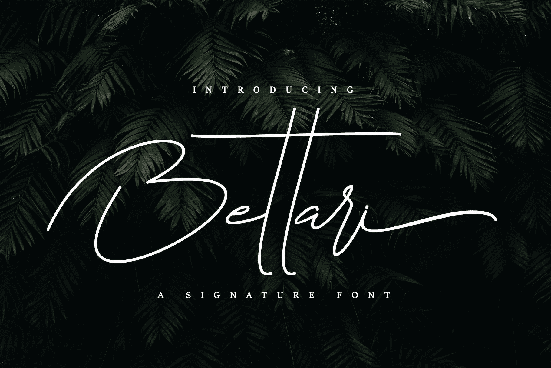 [Creativefabrica] Bettari Font (2021)