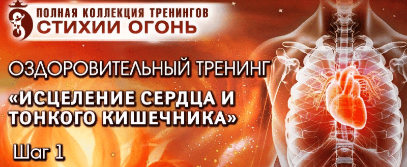 [Владимир Осипов] Исцеление Сердца и Тонкого Кишечника. Стихия Огонь (2021)