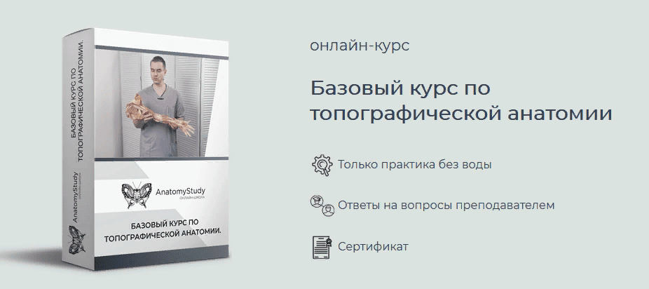 [Сергей Скворцов] Базовый курс по топографической анатомии (2021)