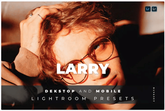[Elements.Envato] Larry Desktop and Mobile Lightroom Preset (2021)
