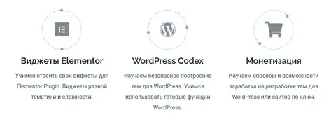 [Александр Сокирка] [geniuscourses.com] Разработка Темы для WordPress (2021)