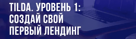 [Ирина Артюхина] [puzzlebrain] Tilda. Уровень 1: создай свой первый лендинг (2021)