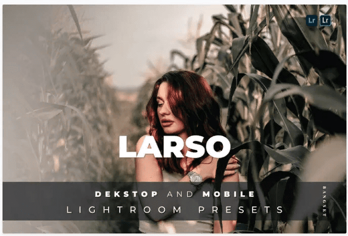 [Elements.Envato] Larso Desktop and Mobile Lightroom Preset (2021)