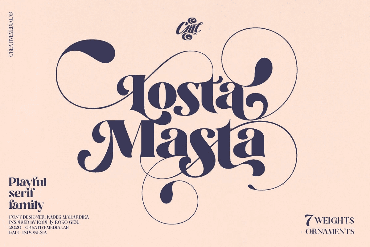 [Creativemarket] Losta Masta - Playful Serif Family (2021)