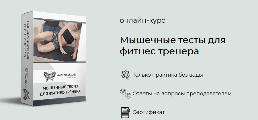 [Андрей Богатырев] Мышечные тесты для фитнес тренера (2021)