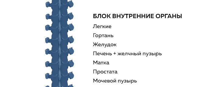 [Григорий Крутов] Блок внутренние органы (2021)