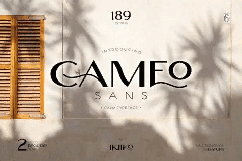 [Creativefabrica] Cameo Font (2021)