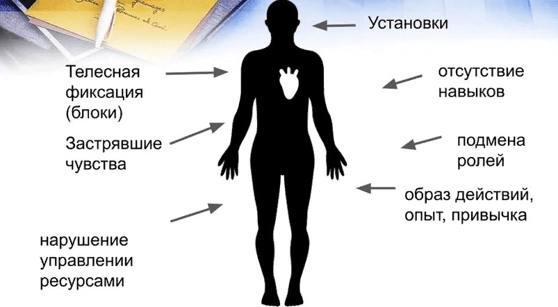 [Мария Ковалева] Метод Универсальных Трансформаций. (2021)