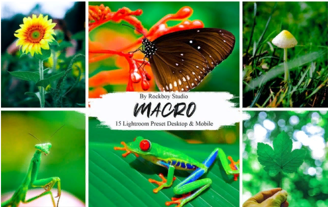 [Rockboy Studio] 15 Macro Lightroom Presets (2021)