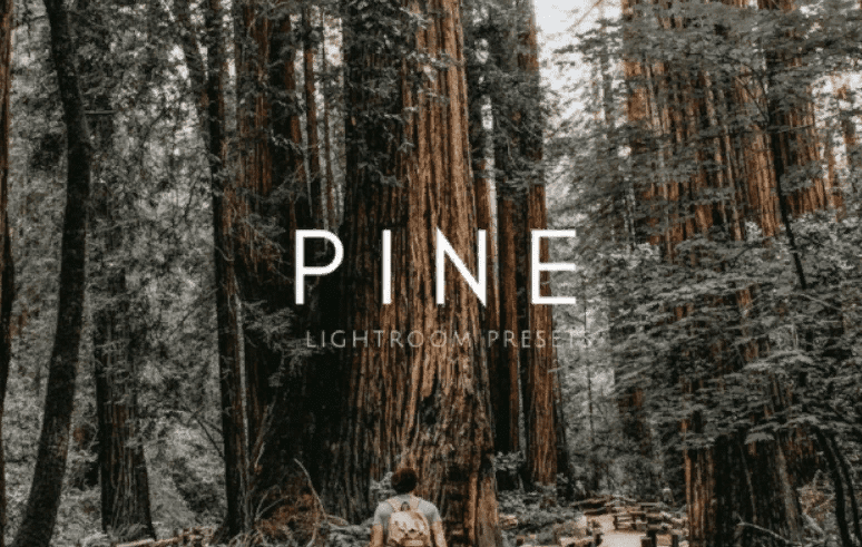 [Elements.Envato] PINE Warm Moody Outdoor Wedding Lightroom Presets (2021)