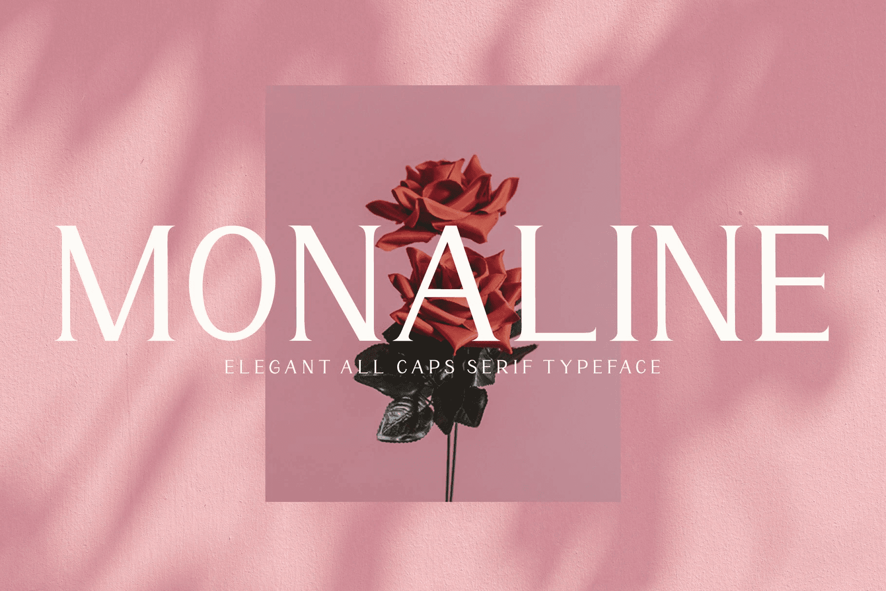 [Fontbundles] Monaline Font (2021)