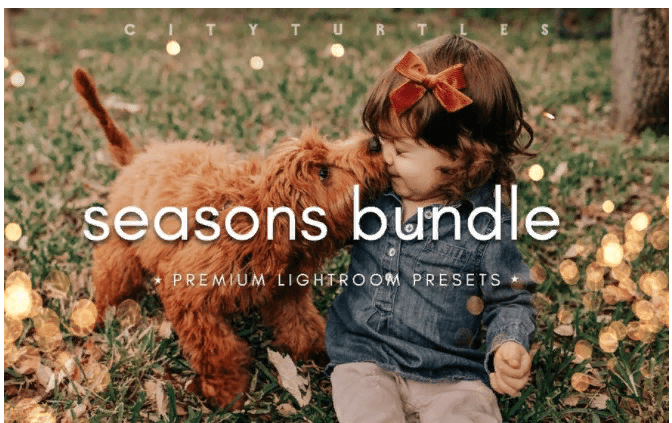 [Elements.Envato] Seasons Bundle Fall & Winter Lightroom Presets (2021)