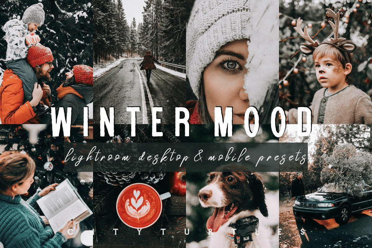 [Creativemarket] Winter Mood Holiday Lightroom Presets (2021)