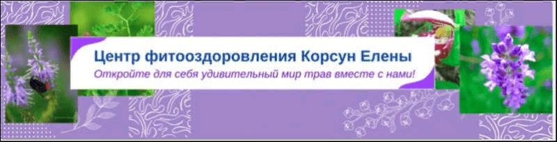 [Елена Корсун] Фитотерапия кандидоза (2021)