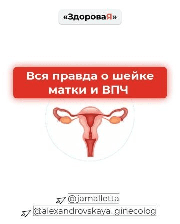[jamalletta] Пособие «Вся правда о шейке матки и ВПЧ» (2020)