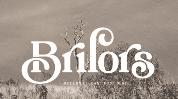 [Fontbundles] Brilors Serif (2022)