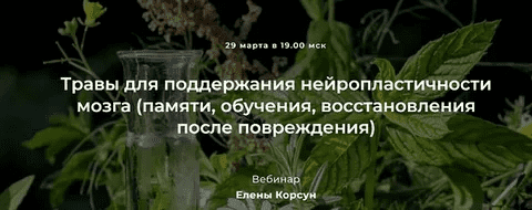 [Елена Корсун] Травы для поддержания нейропластичности мозга (памяти, обучения, восстановления после повреждения) (2022)