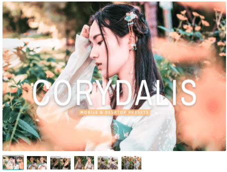 [creativemarket] Corydalis Pro Lightroom Presets (2022)
