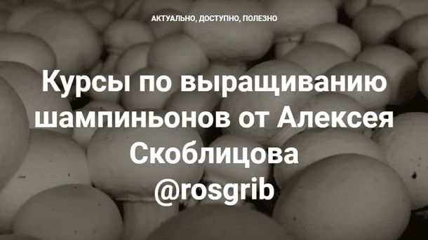 [Алексей Скоблицов] Курсы по выращиванию шампиньонов (2022)