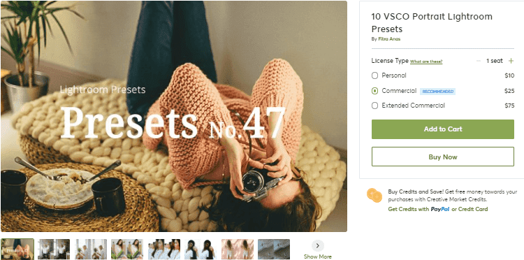 [Creativemarket] 10 VSCO Portrait Lightroom Presets №47 (2020)