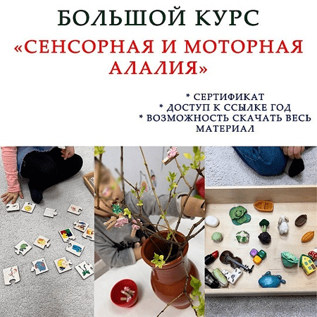 [Ангелина Сыщенко] Сенсорная и моторная алалия (2022)