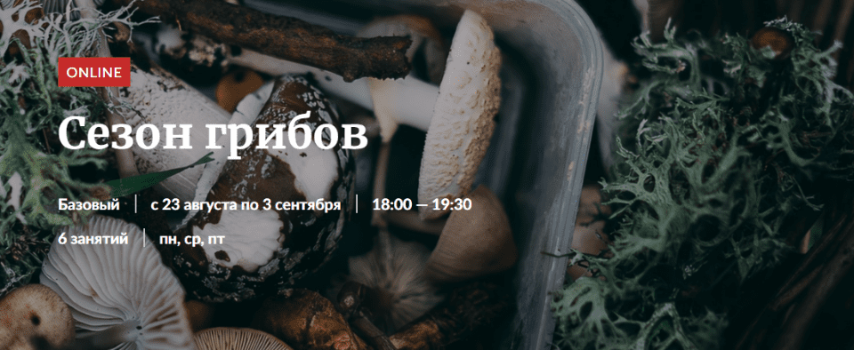 [Александр Цуканов] Сезон грибов (2022)