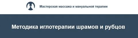 [Игорь Атрощенко, Резеда Хакимзянова] Методика иглотерапии шрамов и рубцов (2022)