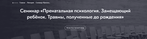 [Е. Журек] [МИП] Пренатальная психология. Замещающий ребёнок. Травмы, полученные до рождения (2022)