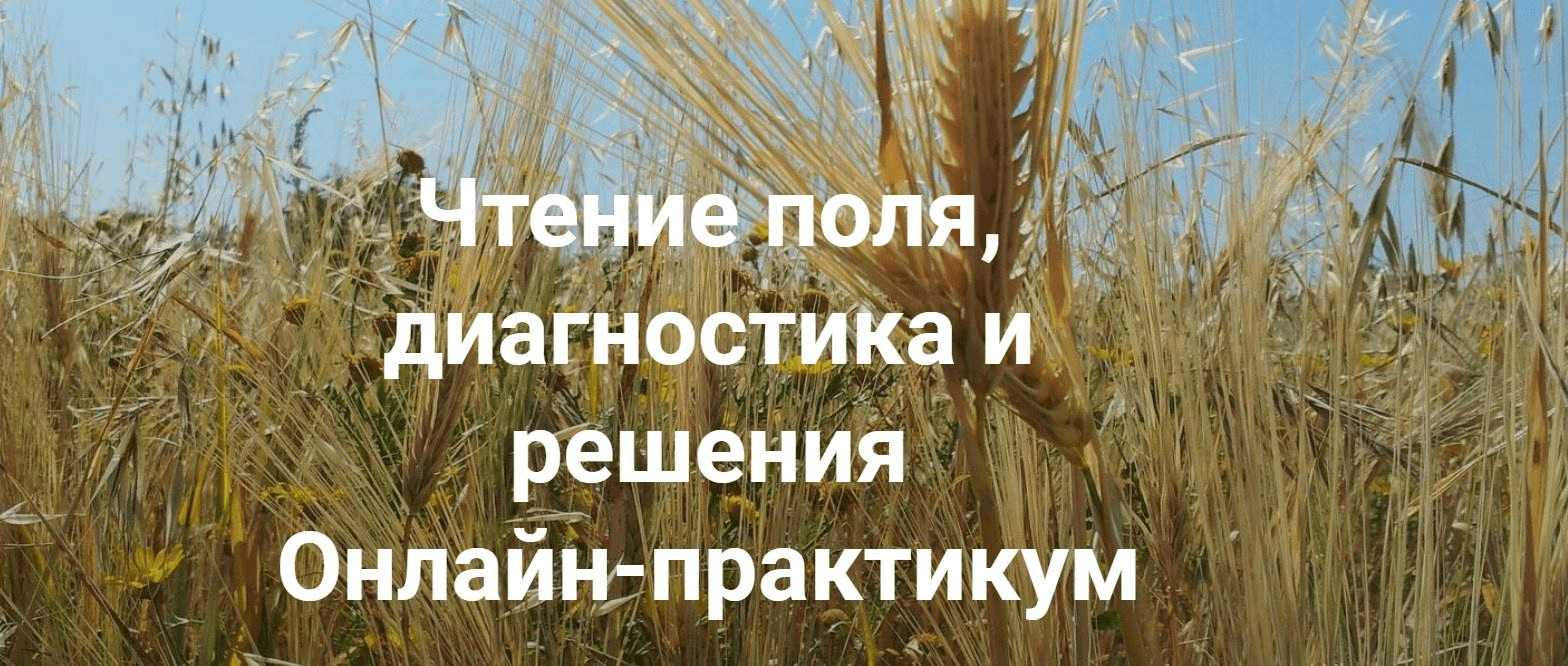 [Елена Веселаго] [Институт открытого поля] Чтение поля, диагностика и решения. Вся практика (2022)