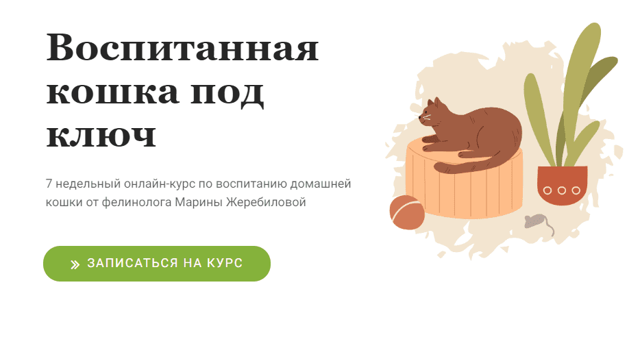 [Марина Жеребилова] Воспитанная кошка под ключ (2022)
