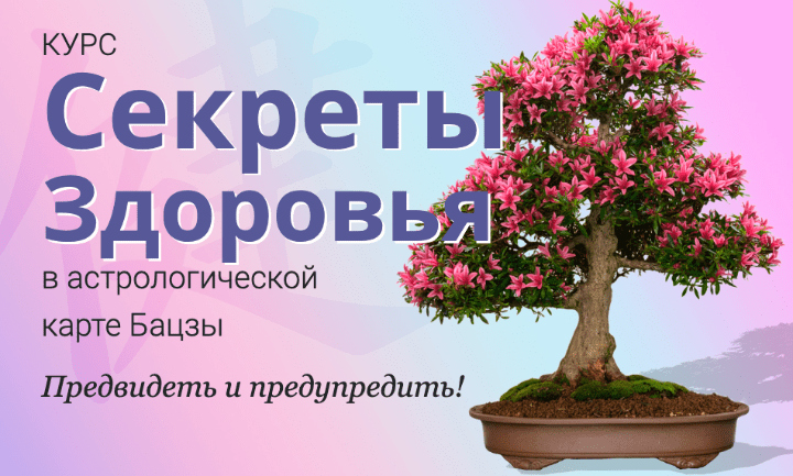 [Светлана Мостовская] [Школа Натальи Пугачёвой] Секреты здоровья в астрологической карте бацзы (2022)