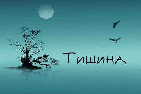 [Дарья Хэнсон] Сессия Тишины (2022)