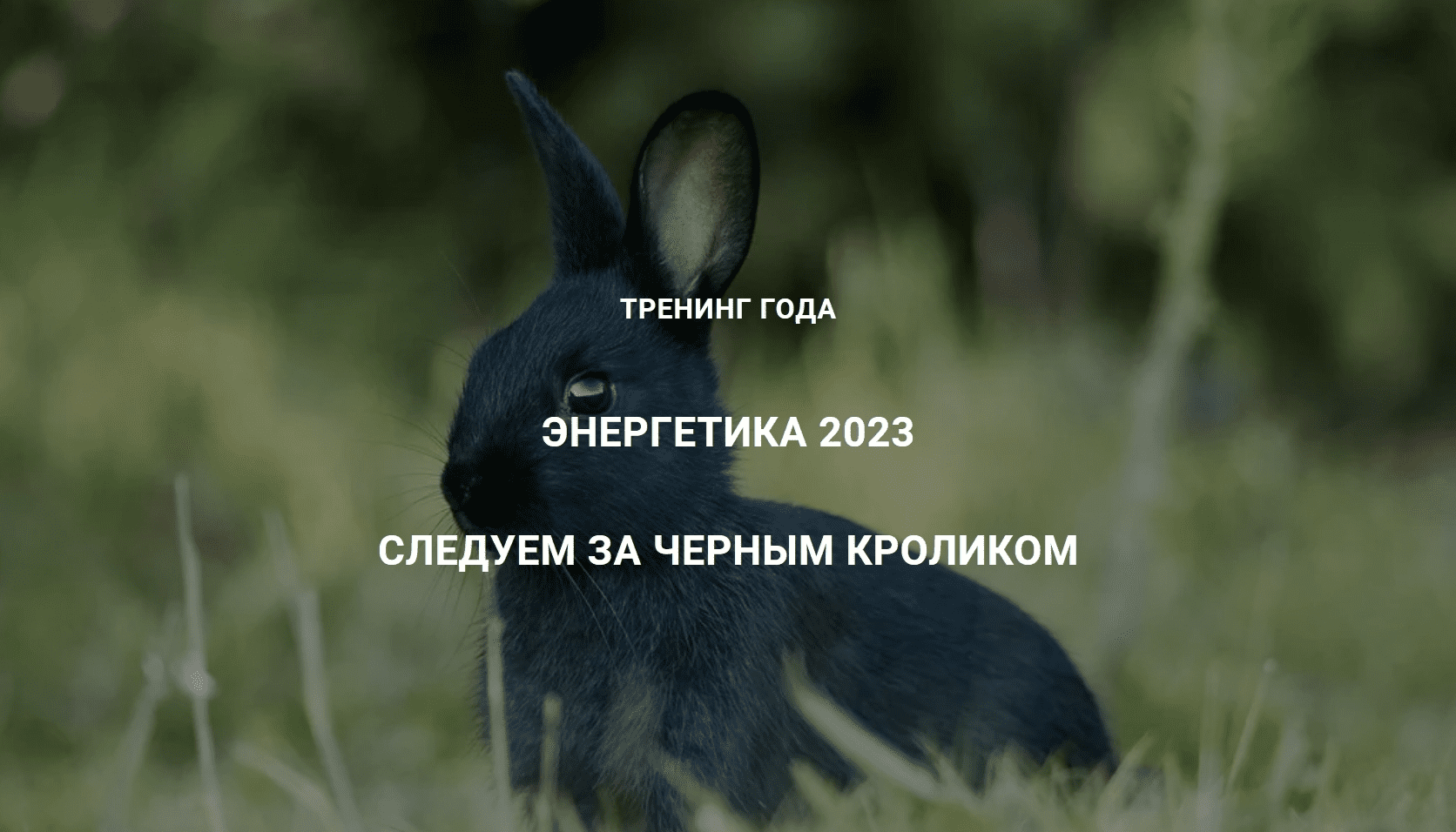 [Дмитрий Лаптев] [Дао-Сфера] Энергетика 2023. Следуем за черным кроликом (2023)
