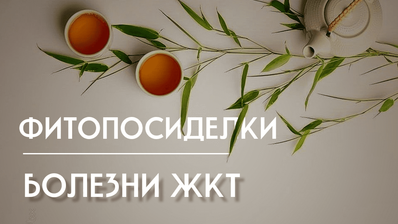 [Школа Ольги Данилюк] Фитопосиделки-4. Болезни жкт. (2023)