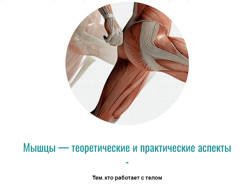 [Массажная школа Елены Земсковой, Константин Берман] Мышцы — теоретические и практические аспекты (2022)