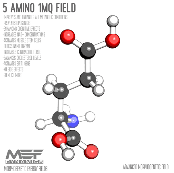 [MEF Dynamics] 5 Амино 1MQ (2023)