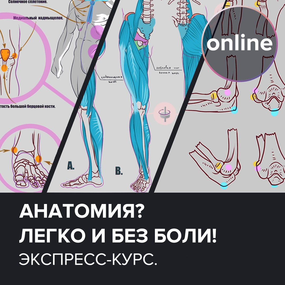 [Digital Art Club, Роман Brumel] Анатомия. Легко! И без боли (2020)