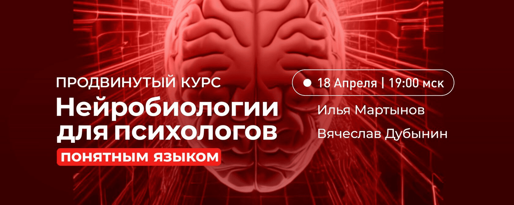 [Вячеслав Дубынин, Илья Мартынов] Продвинутый курс нейробиологии для психологов понятным языком (2023)