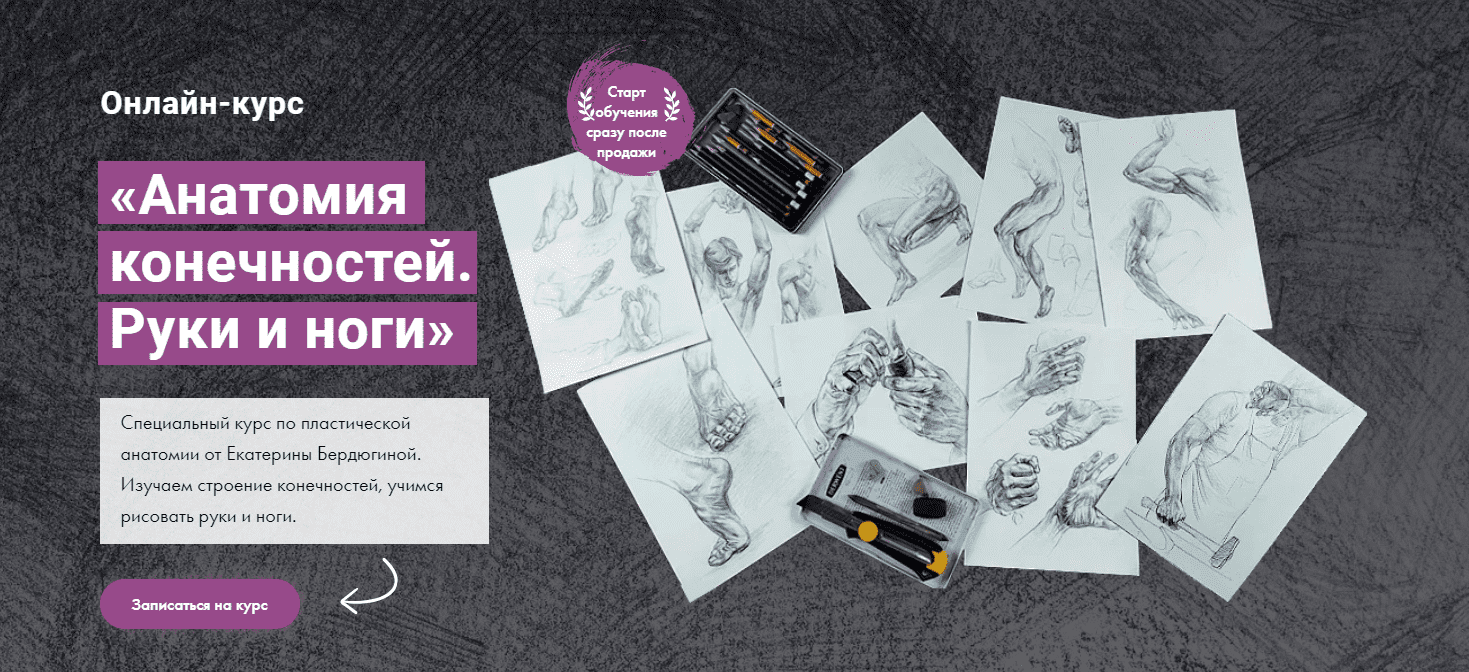 [Художник nline, Екатерина Бердюгина] Анатомия конечностей. Руки и ноги (2023)