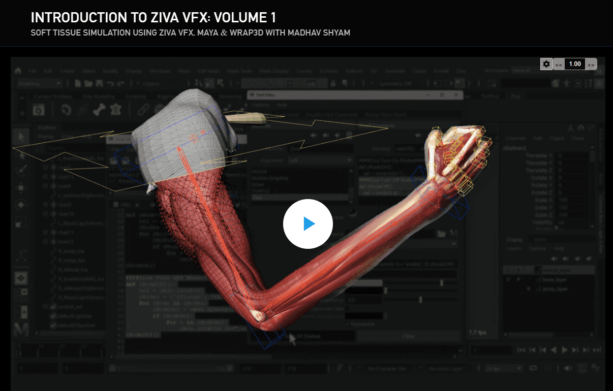 [TheGnomonWorkshop, Madhav Shyam] Introduction to Ziva VFX - Volume 1 (2023)